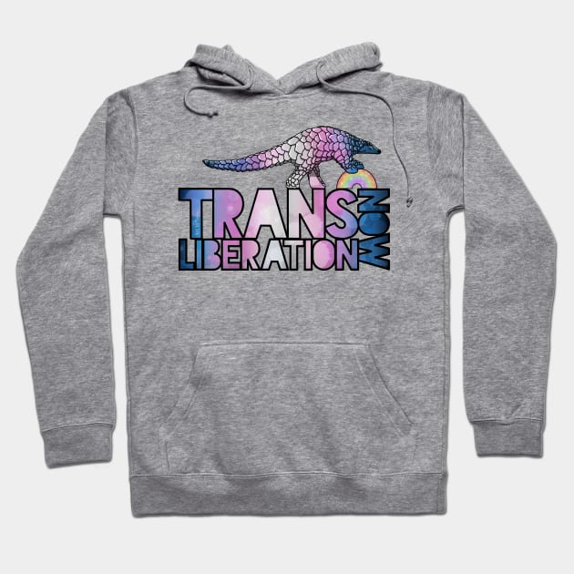 Trans Liberation Now Hoodie by Art by Veya